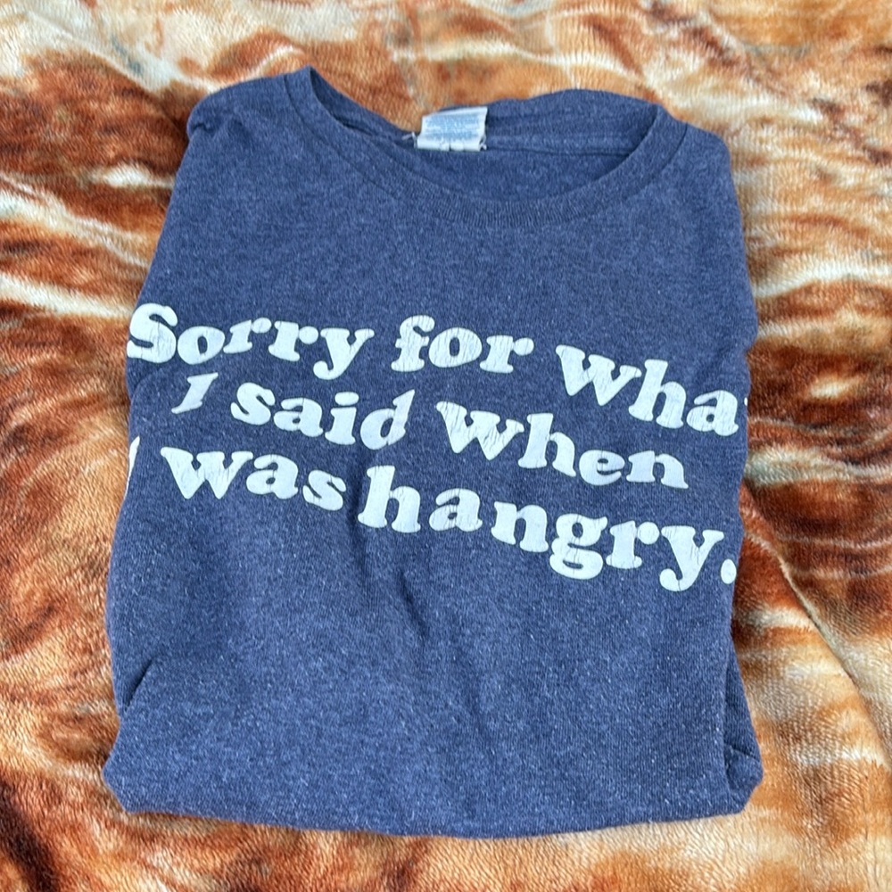 Delta Pro Weight Sarcasm Blue SS Tee Sorry for What I Said When I Was Hangry L